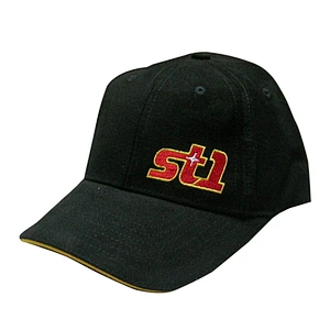 Fashion 6 panel brushed baseball caps with embroidery
