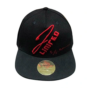 Custom design logo 3D embroidery snapback caps
