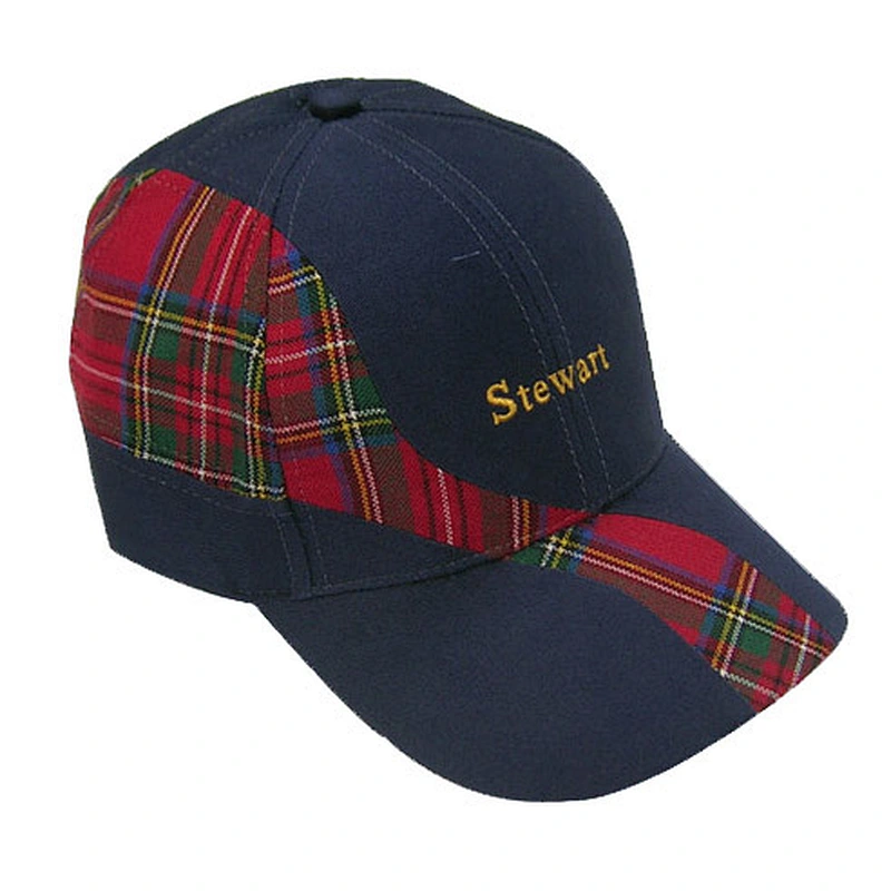 Fashion 6 panel sports cap with 3D embroidery