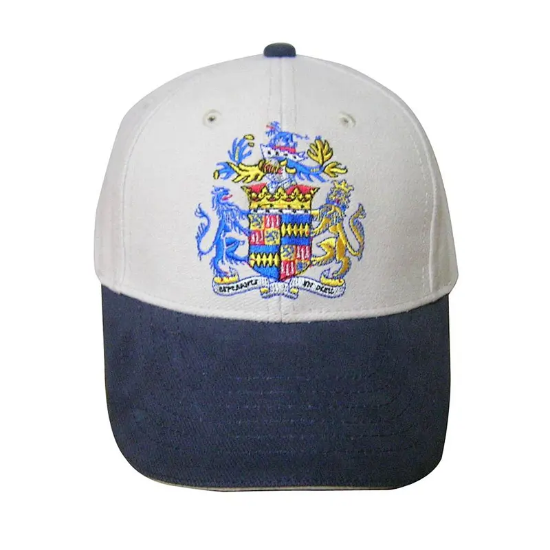 6 panel embroidery baseball cap  and sport cap for promotional