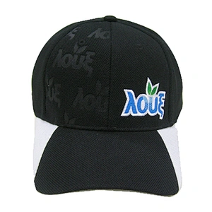 Fashion branded 6 panel sports caps with embroidery