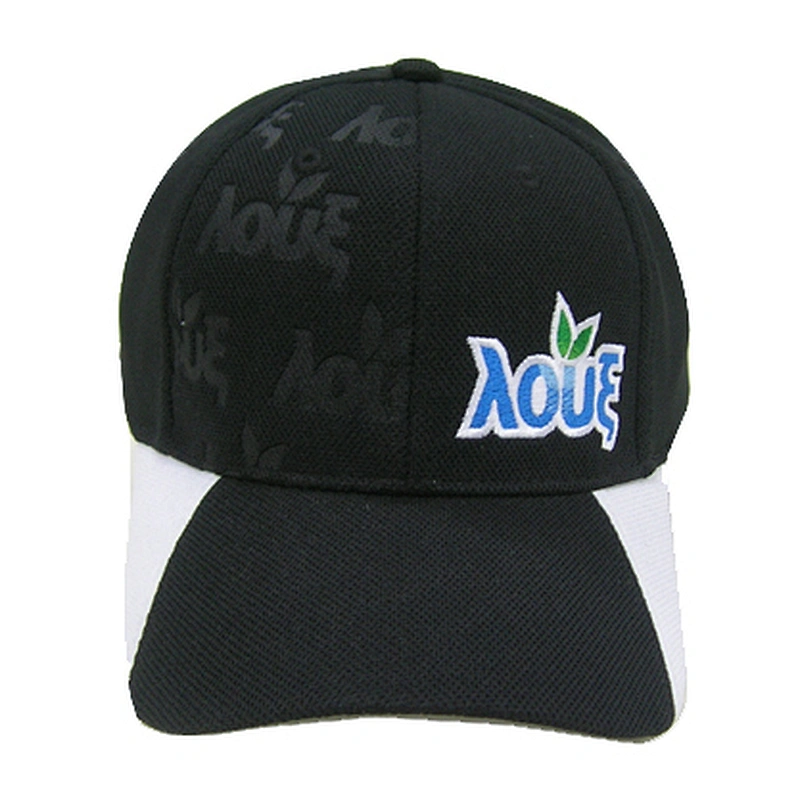 Fashion branded 6 panel sports caps with embroidery