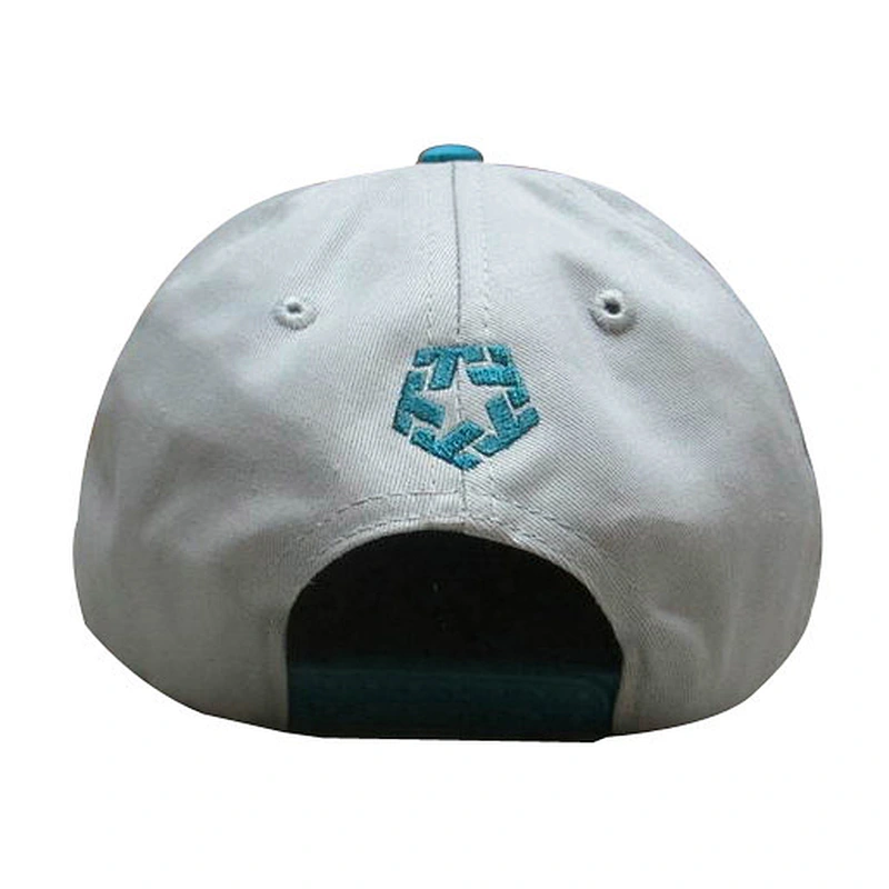 Custom design logo 3D embroidery snapback caps