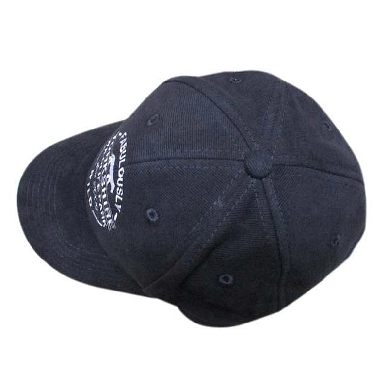 Professional custom made cotton twill 6 panel structured sports baseball cap and hat with 3D logo