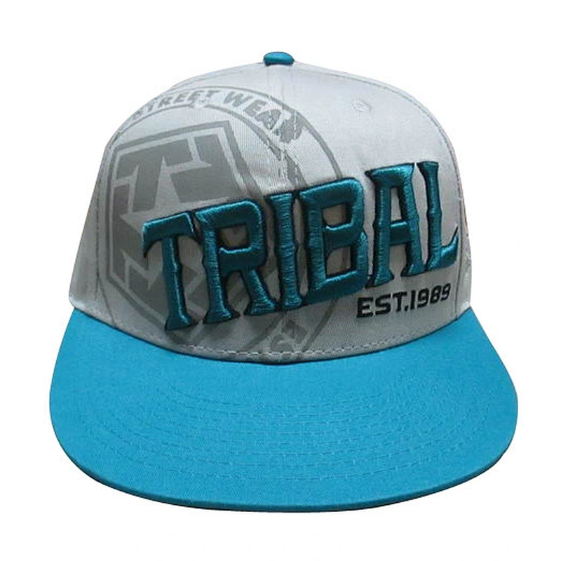 Custom design logo 3D embroidery snapback caps