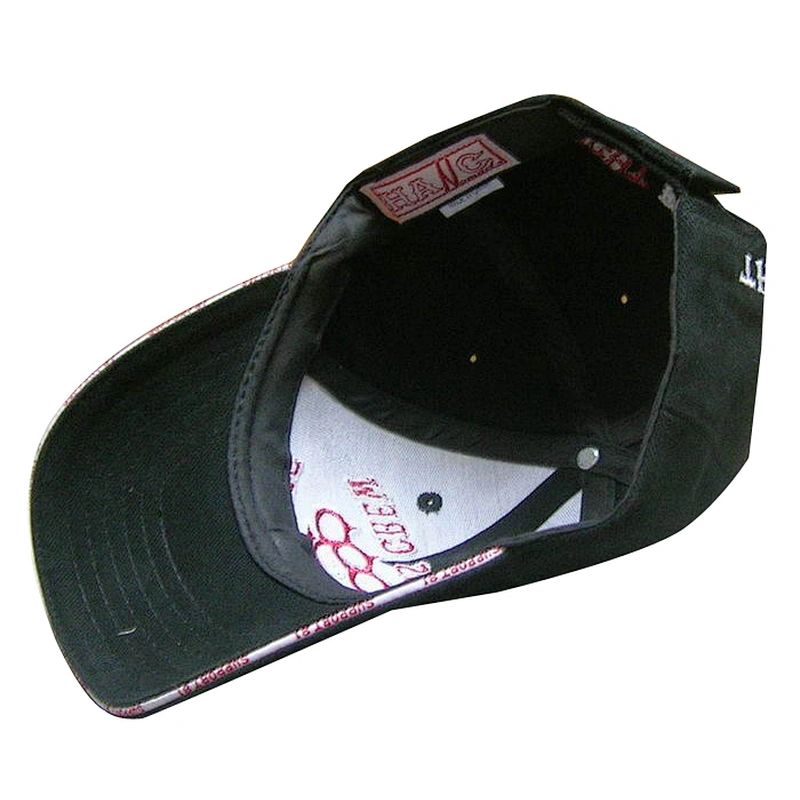 Fashion 6 panel customer's raised embroidery caps