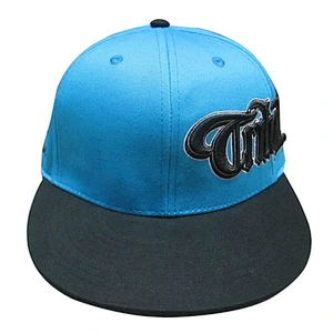Custom design logo 3D embroidery snapback caps