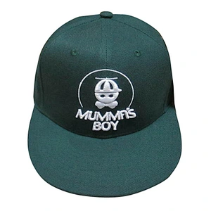 Custom design logo 3D embroidery snapback caps