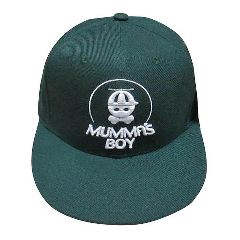 Custom design logo 3D embroidery snapback caps