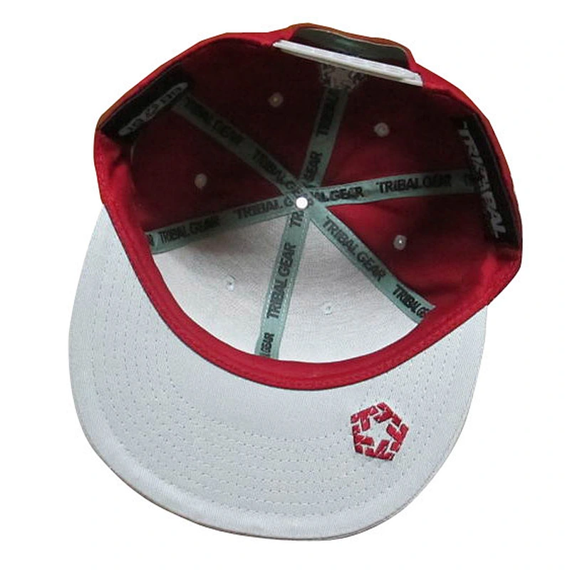 Custom design logo 3D embroidery snapback caps