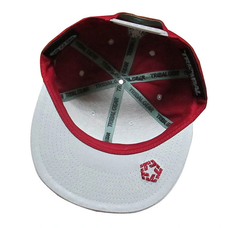China Supplier Custom Snapback Cap and Hat Snapback Hats Wholesale