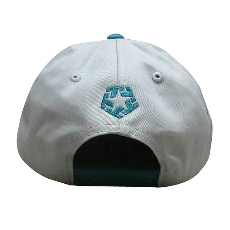 Custom design logo 3D embroidery snapback caps