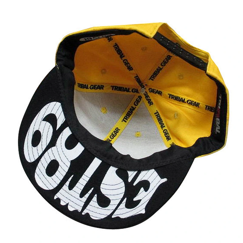embroidery and printing snapback hat
