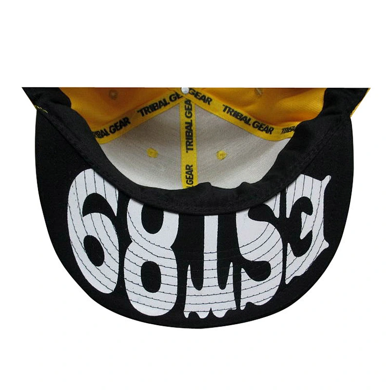 embroidery and printing snapback hat