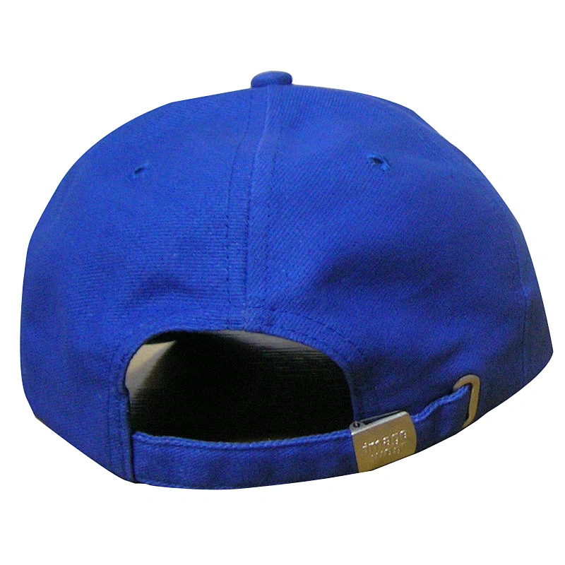 Fashion 6 panel racing sport cap with embroidery for promotional