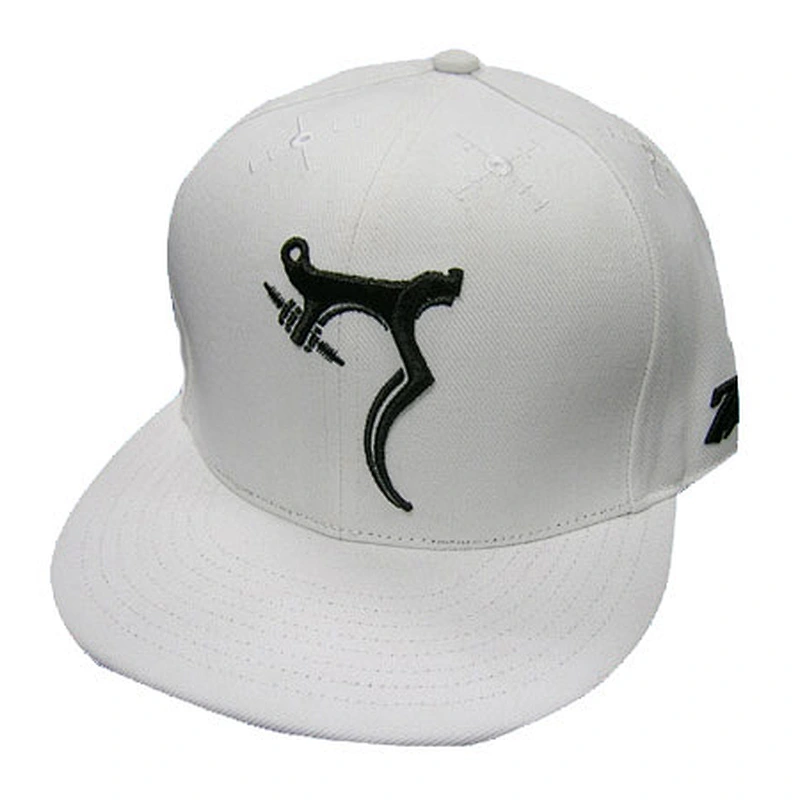 6 panel sports caps and hats with 3d embroidery customer's logo