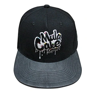 Custom design logo 3D embroidery snapback caps
