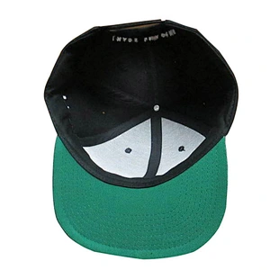 Applique embroidery snapback hat