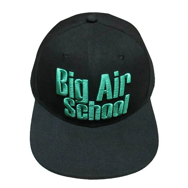 Custom design logo 3D embroidery snapback caps