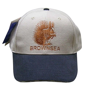 Fashion high quality Cotton Embroidery Baseball Cap