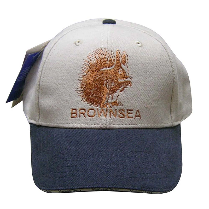 Fashion high quality Cotton Embroidery Baseball Cap