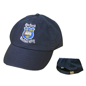 Fashion sports cap with embroidery logos