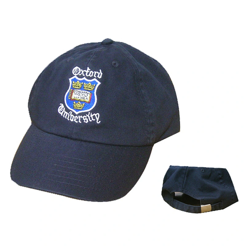 Fashion sports cap with embroidery logos