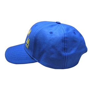 sandwich sports cap