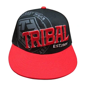 Custom design logo 3D embroidery snapback caps