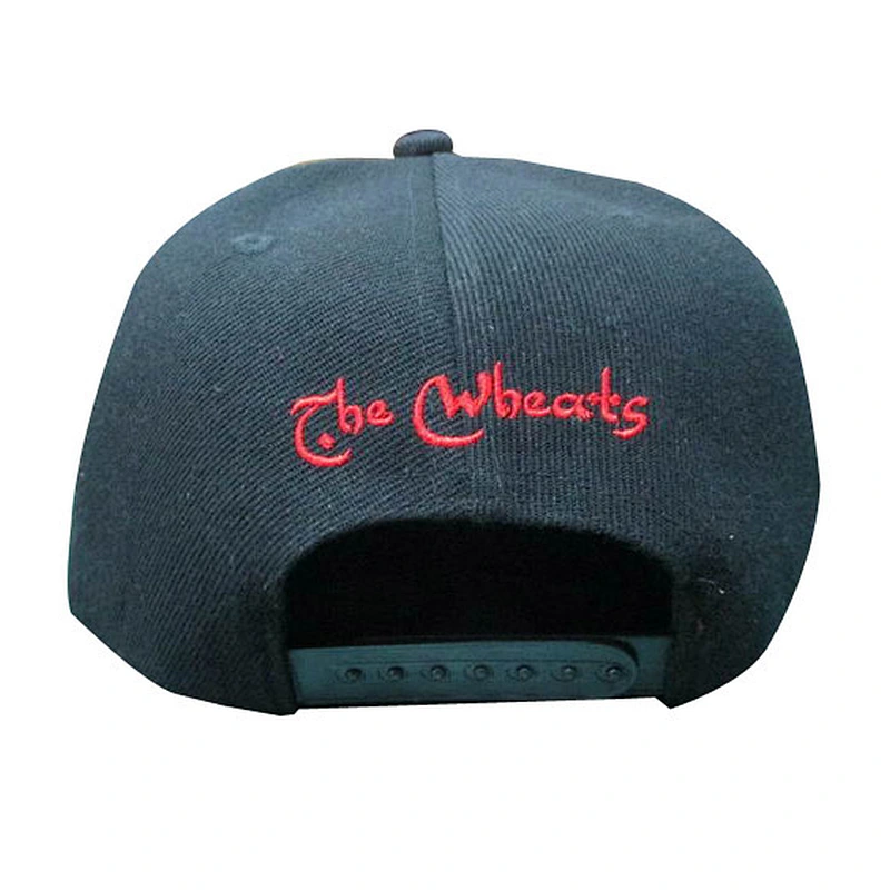 Flat Embroidery Custom Corduroy Hip Hop Snapback Cap Hats