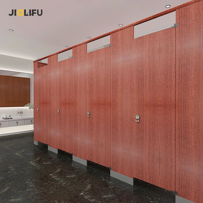 Hot selling toilet partition door in Nigeria