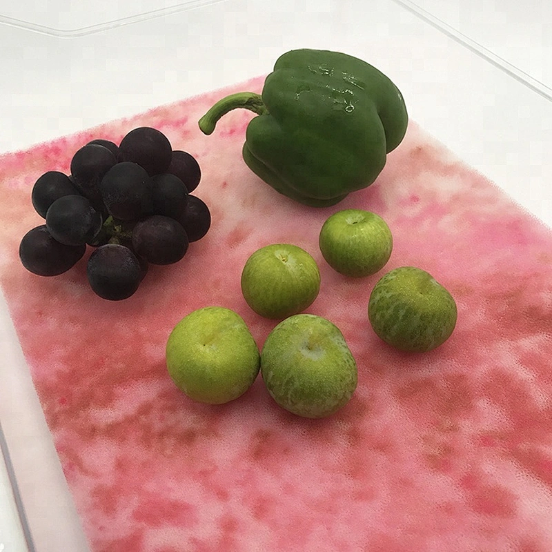 Antimould Foam Sponge Fridge Bin Liner Drawer Mat