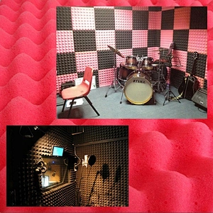 Music Studio Egg Crate Shaped Sound Absorption Acoustic Sponge Foam Panels
