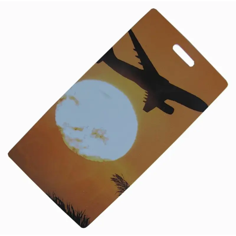 Travelsky Custom Logo High Quality Waterproof PVC Color luggage tags