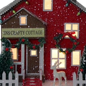 21*16*20CM Christmas House