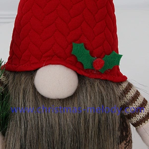 Chtistams Gnomes