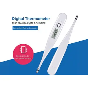 Electronic Thermometer