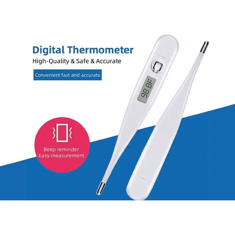 Electronic Thermometer