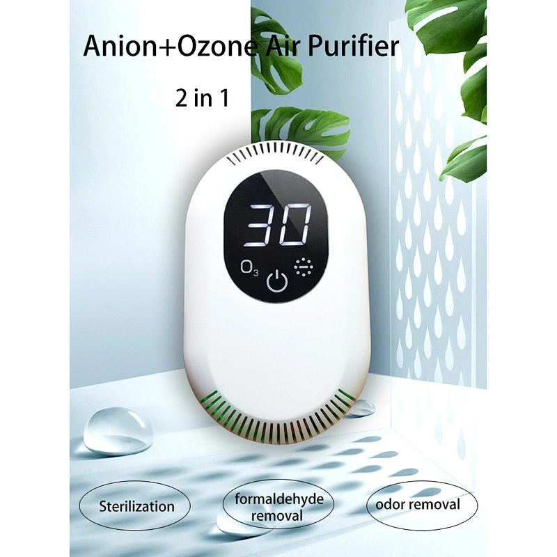 Anion+Ozone Air Purifier