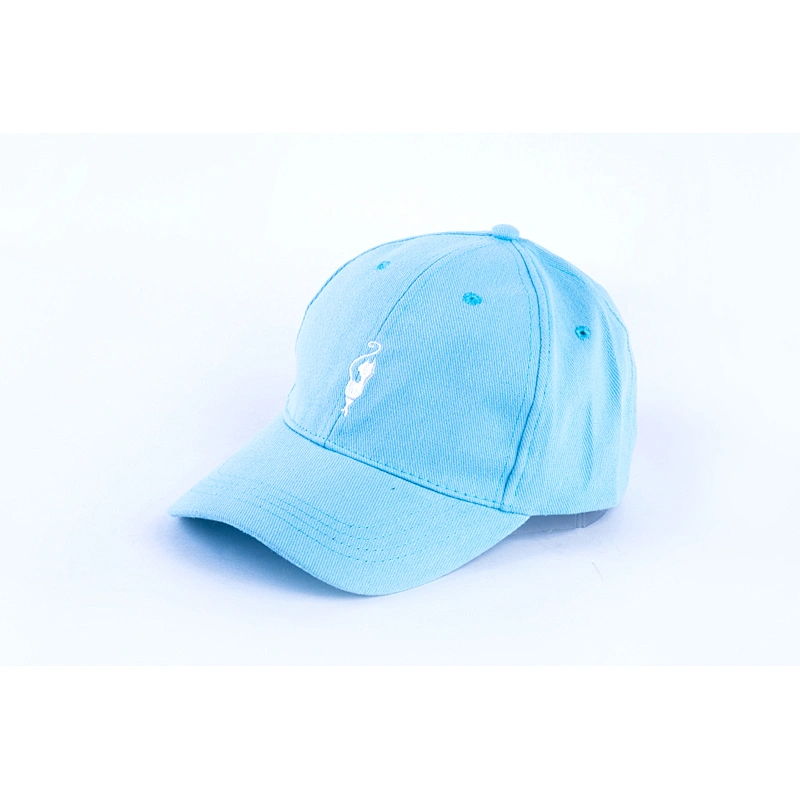 Customize embroidery sport baseball cap hat