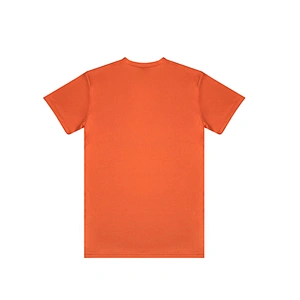 Promotion gift t shirt for marathon quick dry polyester fluorescence color t shirt
