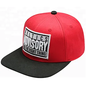 Hot Sales Custom 3D Embroidery Snapback Caps/Hats