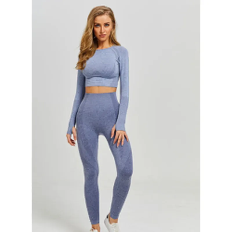 Amazon 2021 hot selling long sleeve seamless high waist sexy yoga sets women yoga high quality yoga suit sport wear