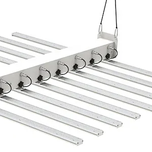 Full Spectrum 600 watt grow light Cover 6ft*6ft LED Grow Lights for Medical Plants