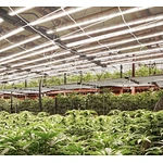 LED Grow Light Buyer's Guide(1-18)——Part 2