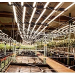 LED GROW LIGHT BUYER'S GUIDE(1-18)——PART 4