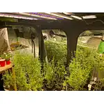 LED GROW LIGHT BUYER'S GUIDE(1-18)——PART 5