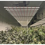 LED GROW LIGHT BUYER'S GUIDE(1-18)——PART 7