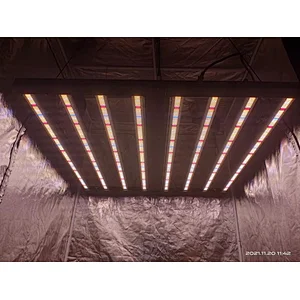 Samsung diodes 800W led grow light with blue light forled grow light for houseplants