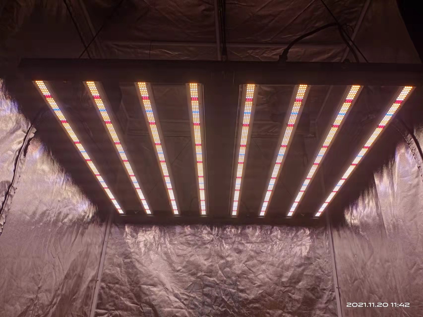 How to choose the right led grow light?Choose the wavelengths you need is important.